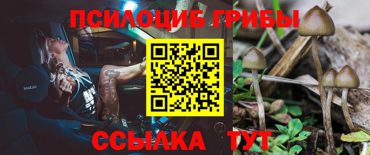 Галлюциногенные грибы GOLDEN TEACHER Сокол