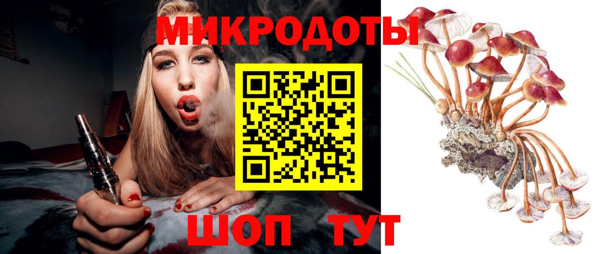 Псилоцибиновые грибы Cubensis  Галлюциногенные грибы Cubensis  наркота  Сокол  Вход с VPN 